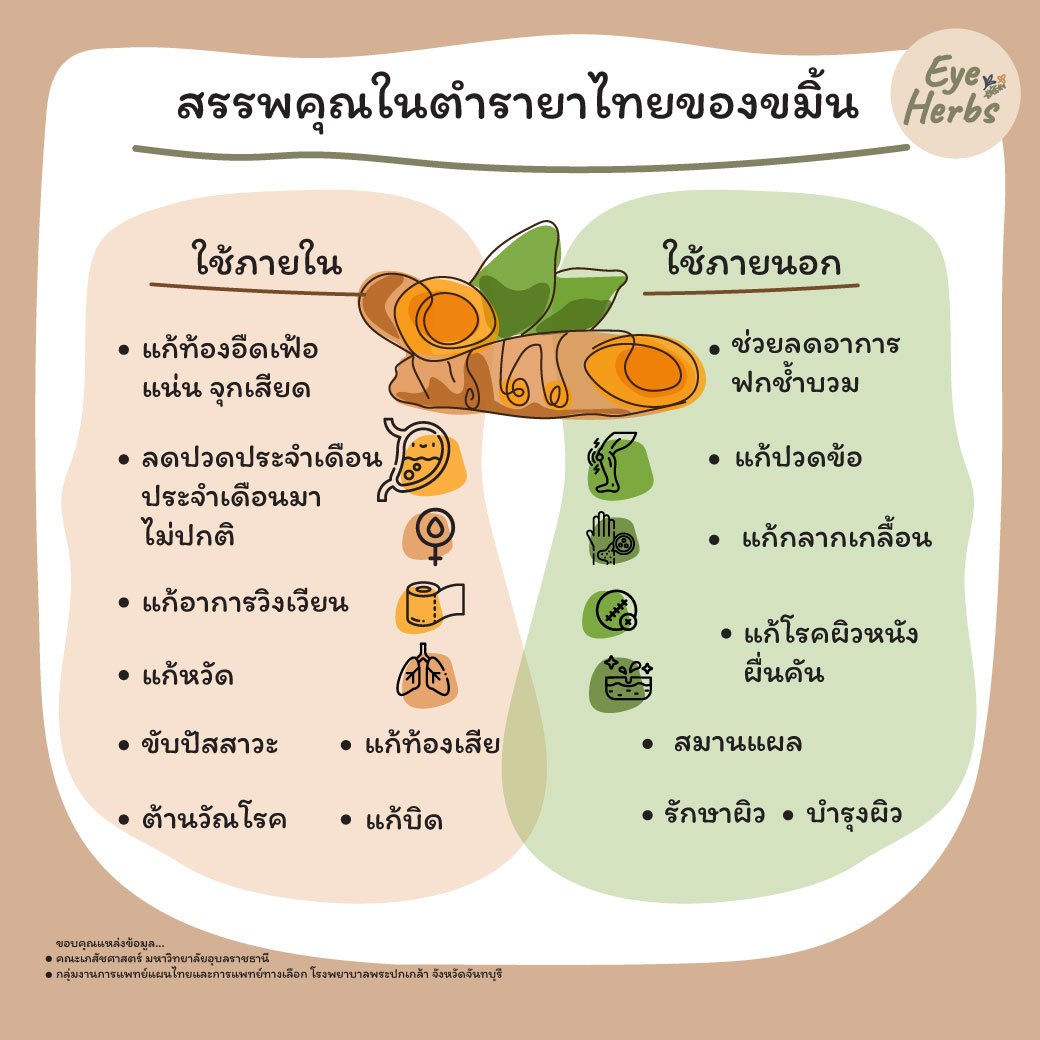 Properties in Thai medicinal textbooks of turmeric
