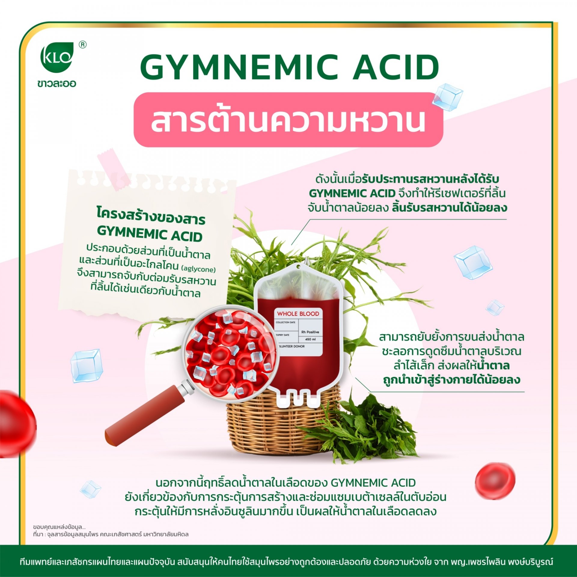 Gymnemic acid สารต้านความหวาน