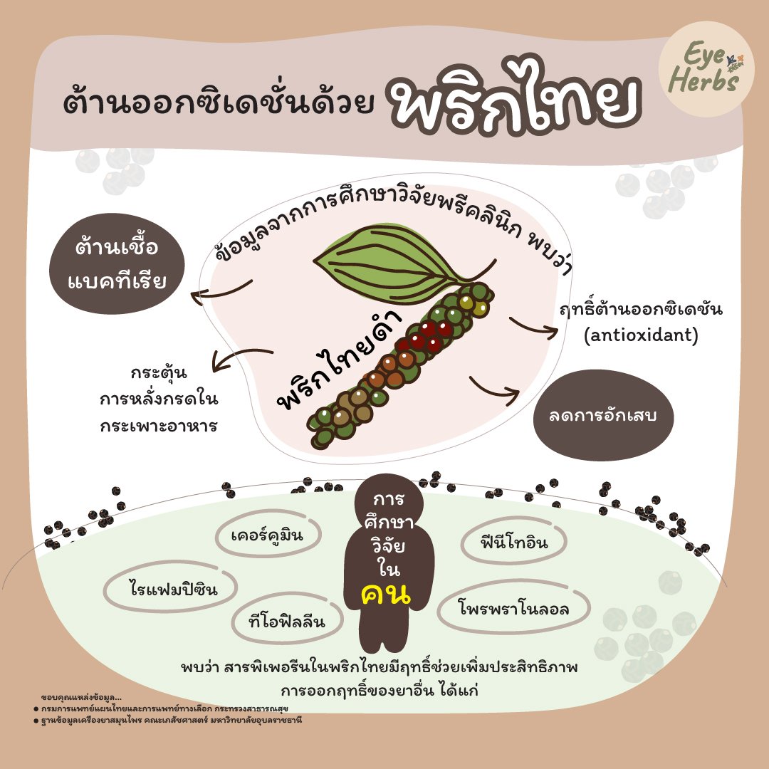 ต้านออกซิเดชั่น ด้วย... พริกไทย