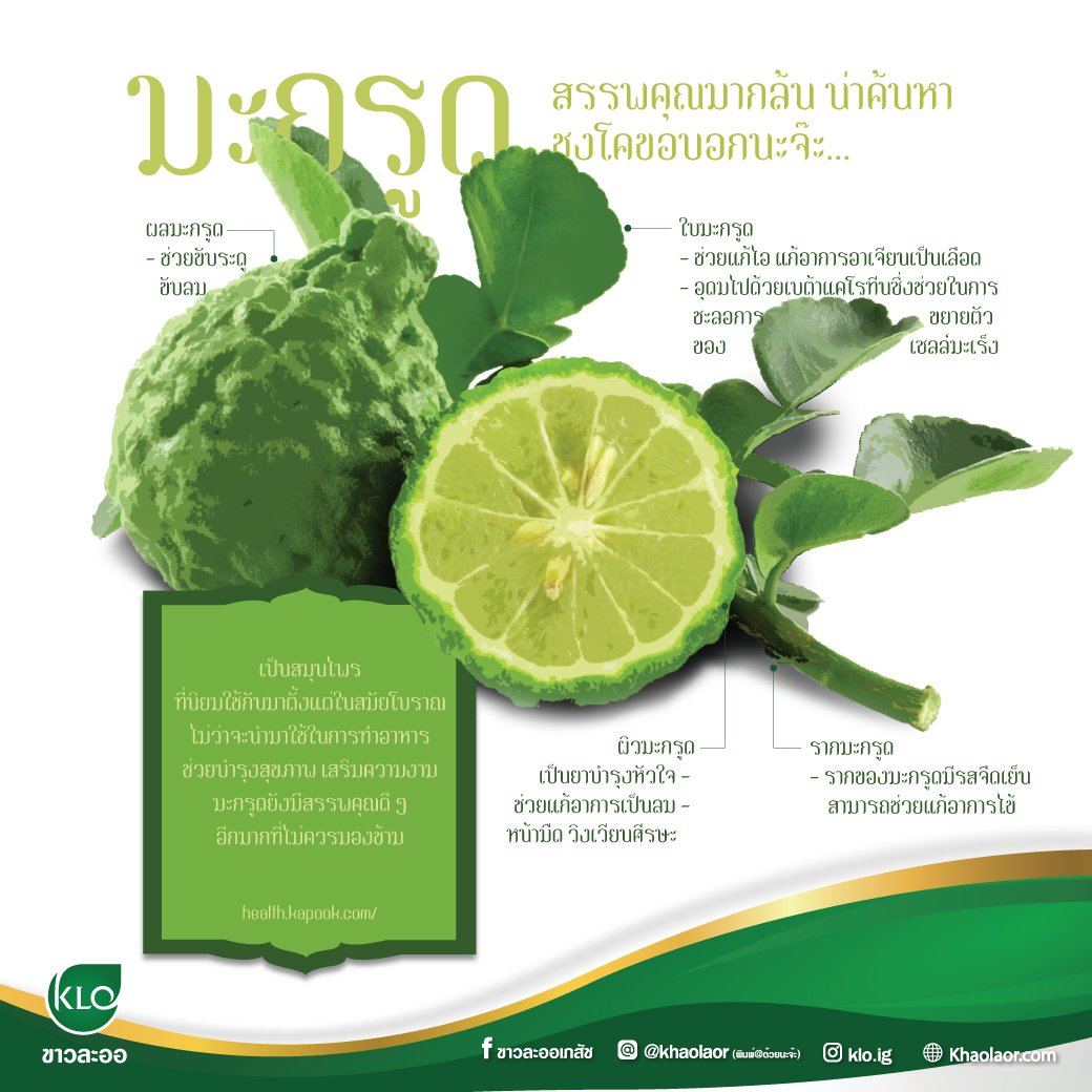Bergamot, a lot of properties... worth searching for