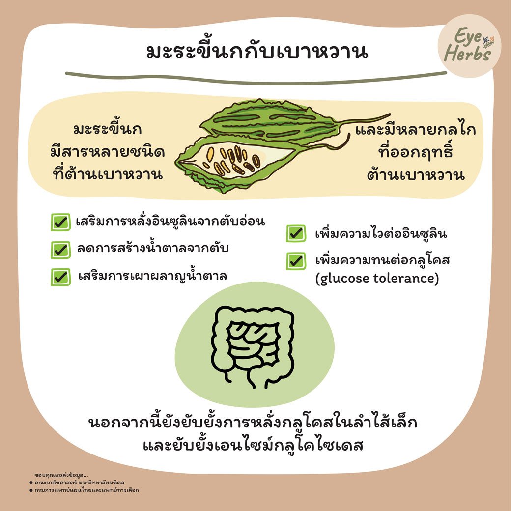 มะระขี้นกกับเบาหวาน