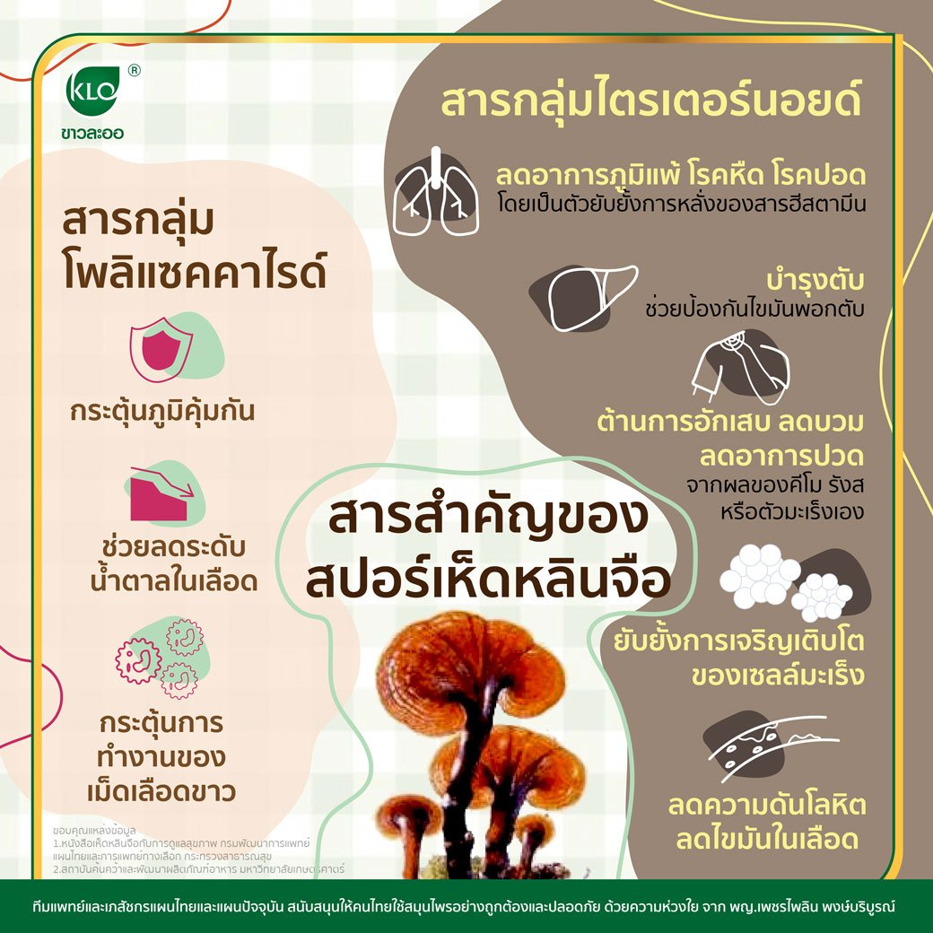 สารสำคัญของสปอร์เห็ดหลินจือ