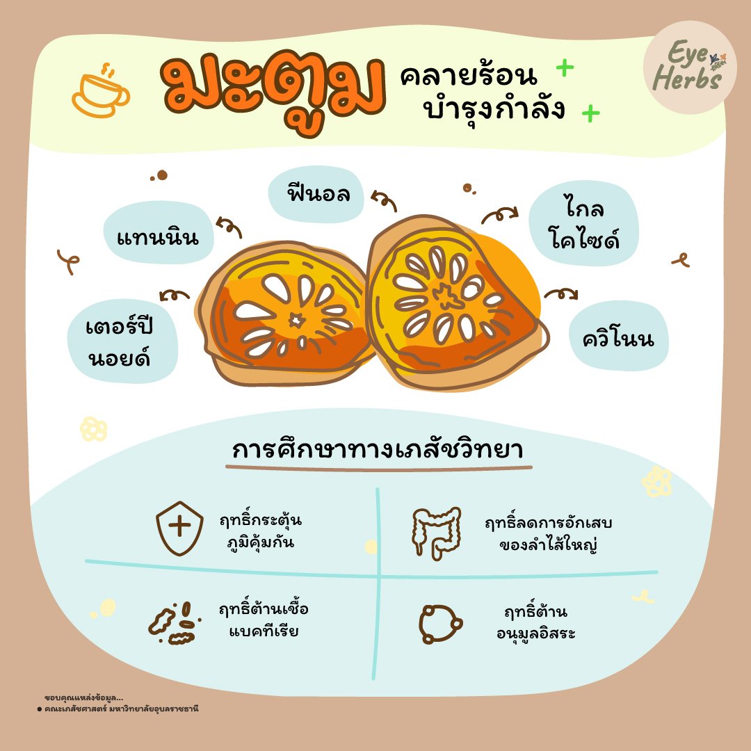 มะตูม คลายร้อนบำรุงกำลัง