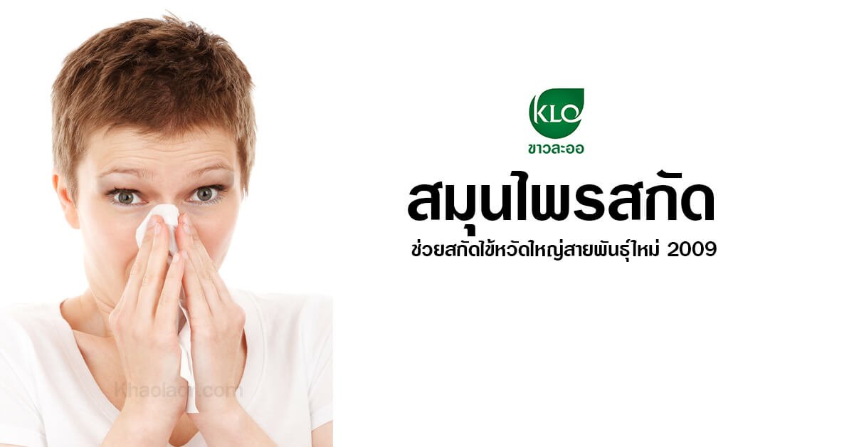 Herbal extracts help extract the new flu strain 2009