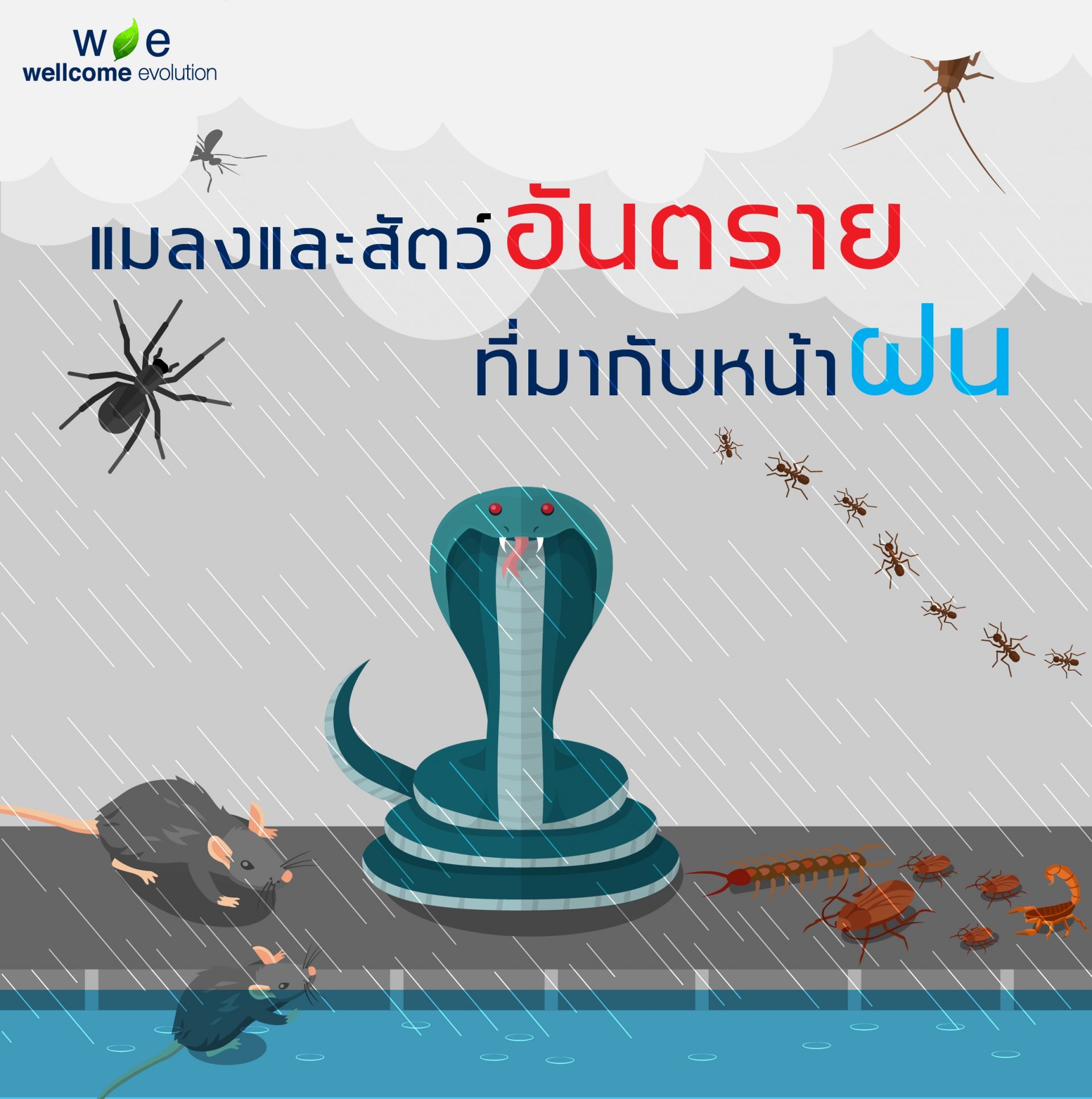 “แมลงและสัตว์อันตรายที่มากับหน้าฝน”