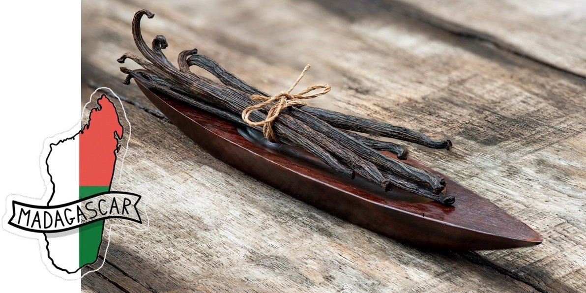 ฝักวานิลลามาดากัสการ์...มากกว่าความหอมคือความภูมิใจ ฝักวานิลลามาดากัสการ์...มากกว่าความหอมคือความภูมิใจ