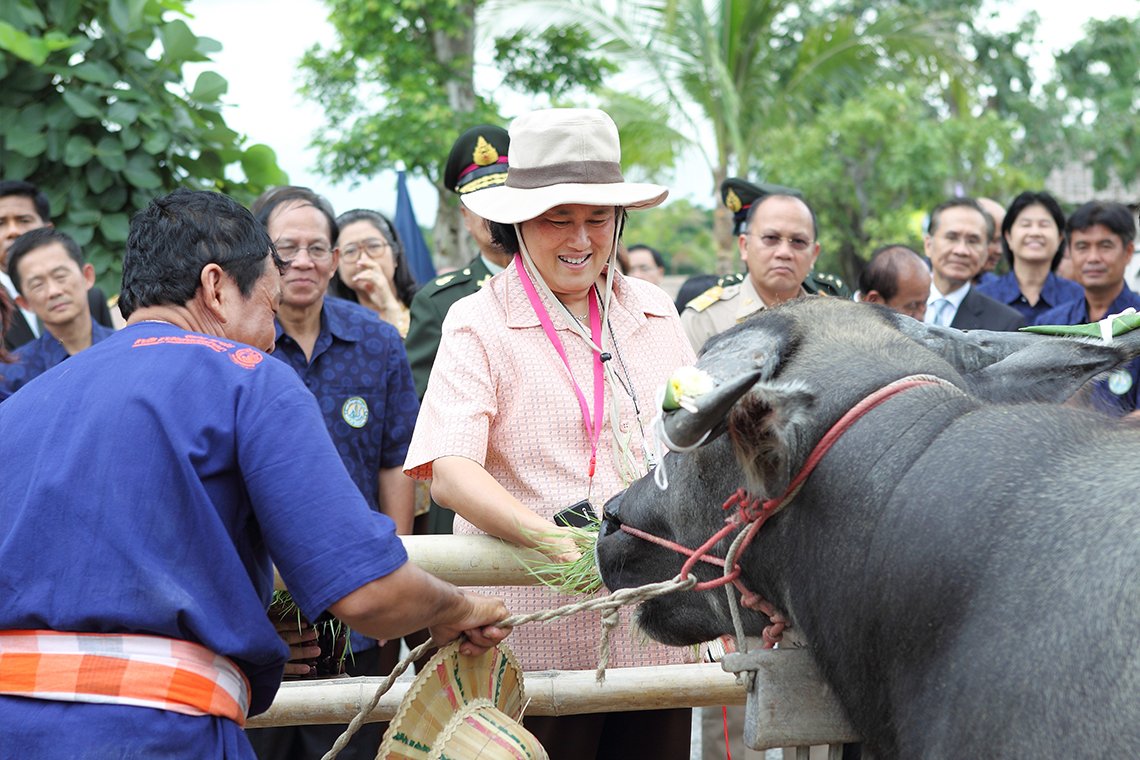 ศูนย์เรียนรู้วัฒนธรรมเกษตรล้านนา [ความเป็นมา]