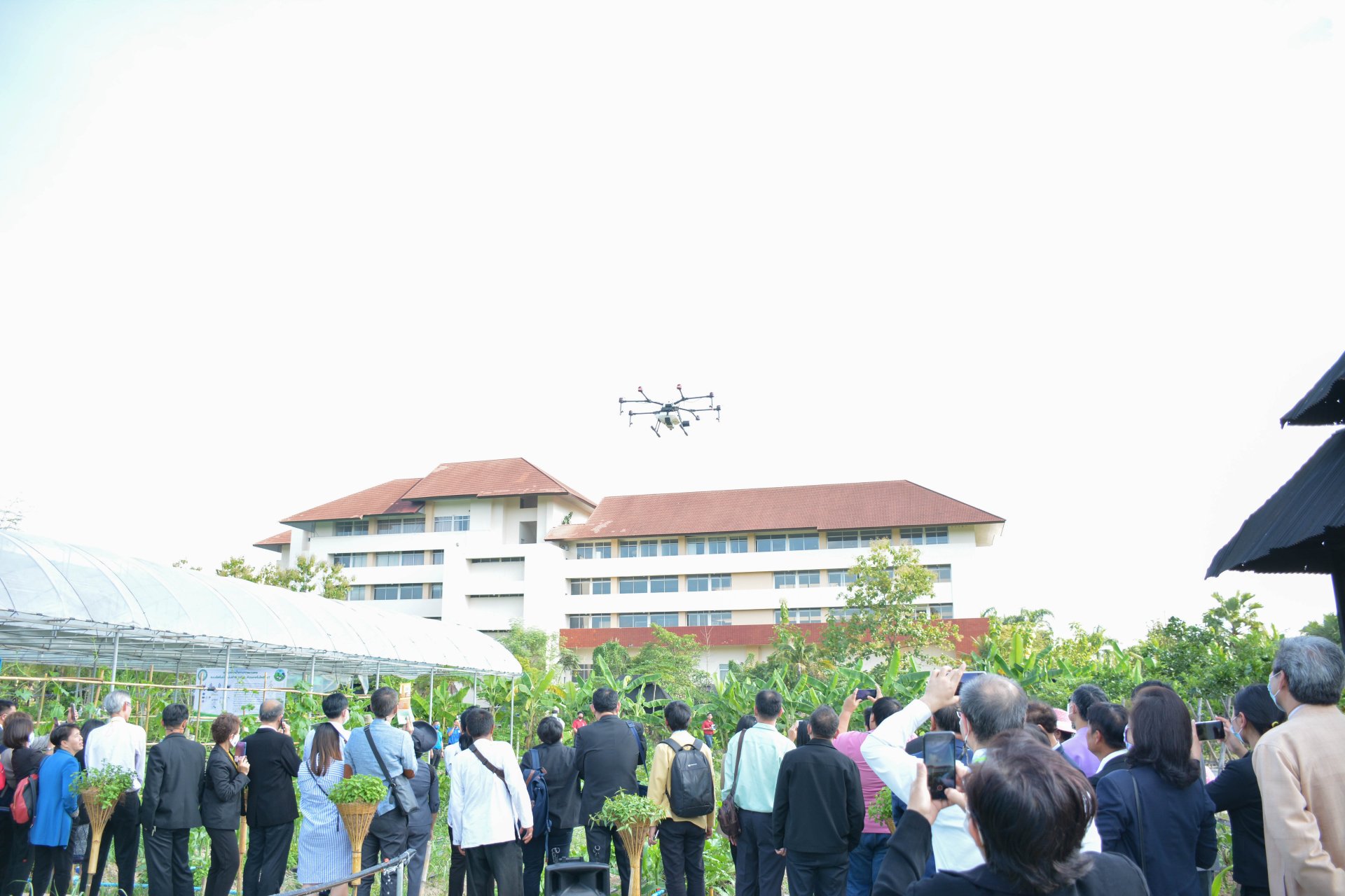 เกษตรกรรมสมัยใหม่ (Modern Agriculture)