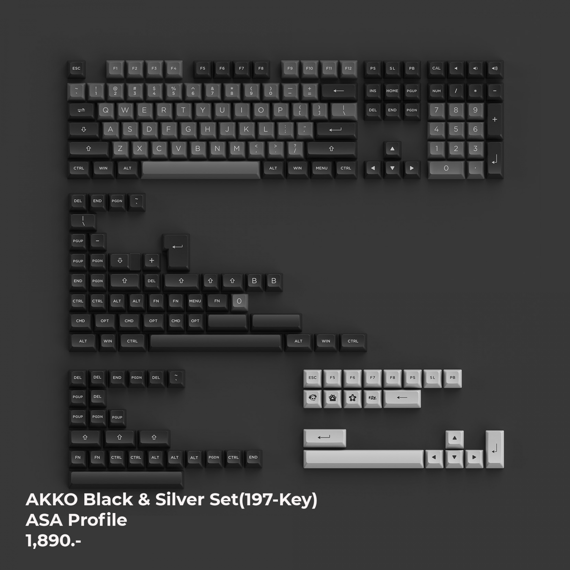 AKKO Black & Silver - ASA Profile 197keys