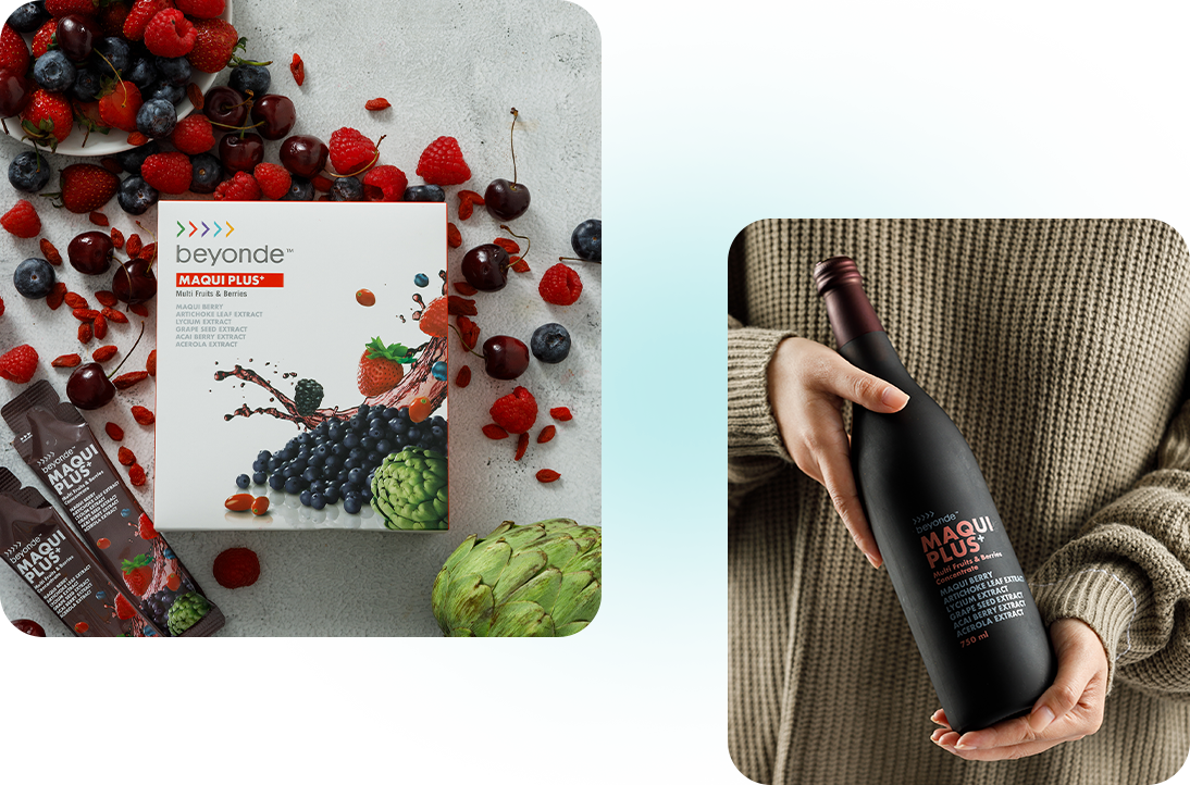 Crayon Dreams Co., Ltd.