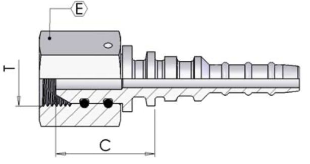 BSP Female 60° Cone - Thrust Wire 0050W