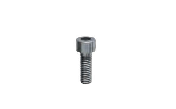 Socket Cap Screw Type IS