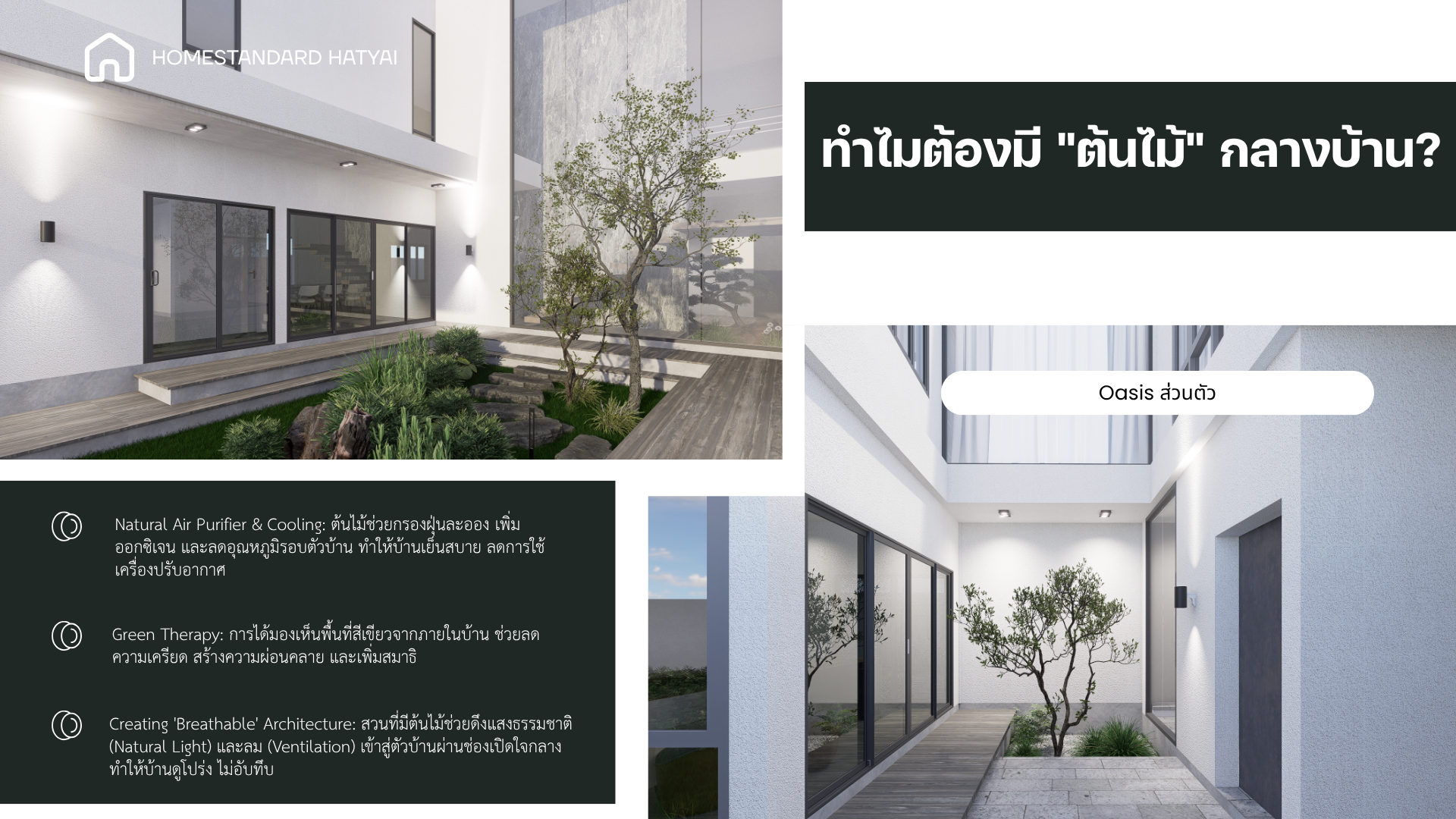 Private Inner Courtyard with Tree "สวนใจกลางบ้าน"