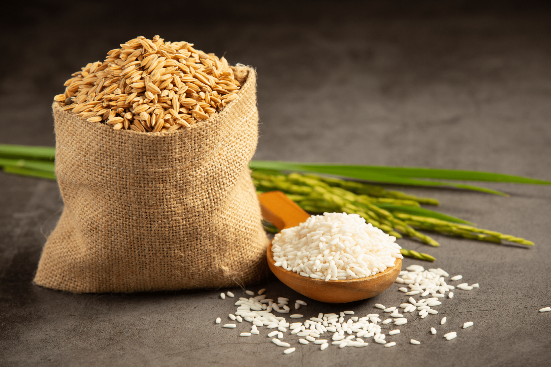 What nutrients is it rich in?