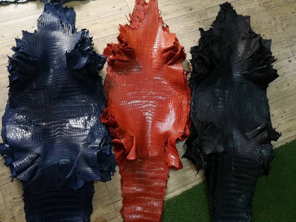 Genuine Crocodile skin - Yma S. Arrueg collection