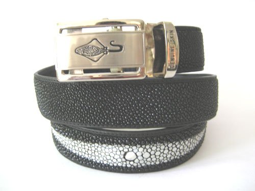 Genuine Stingray Leather Belt in Black Stingray Skin #STM645B-02