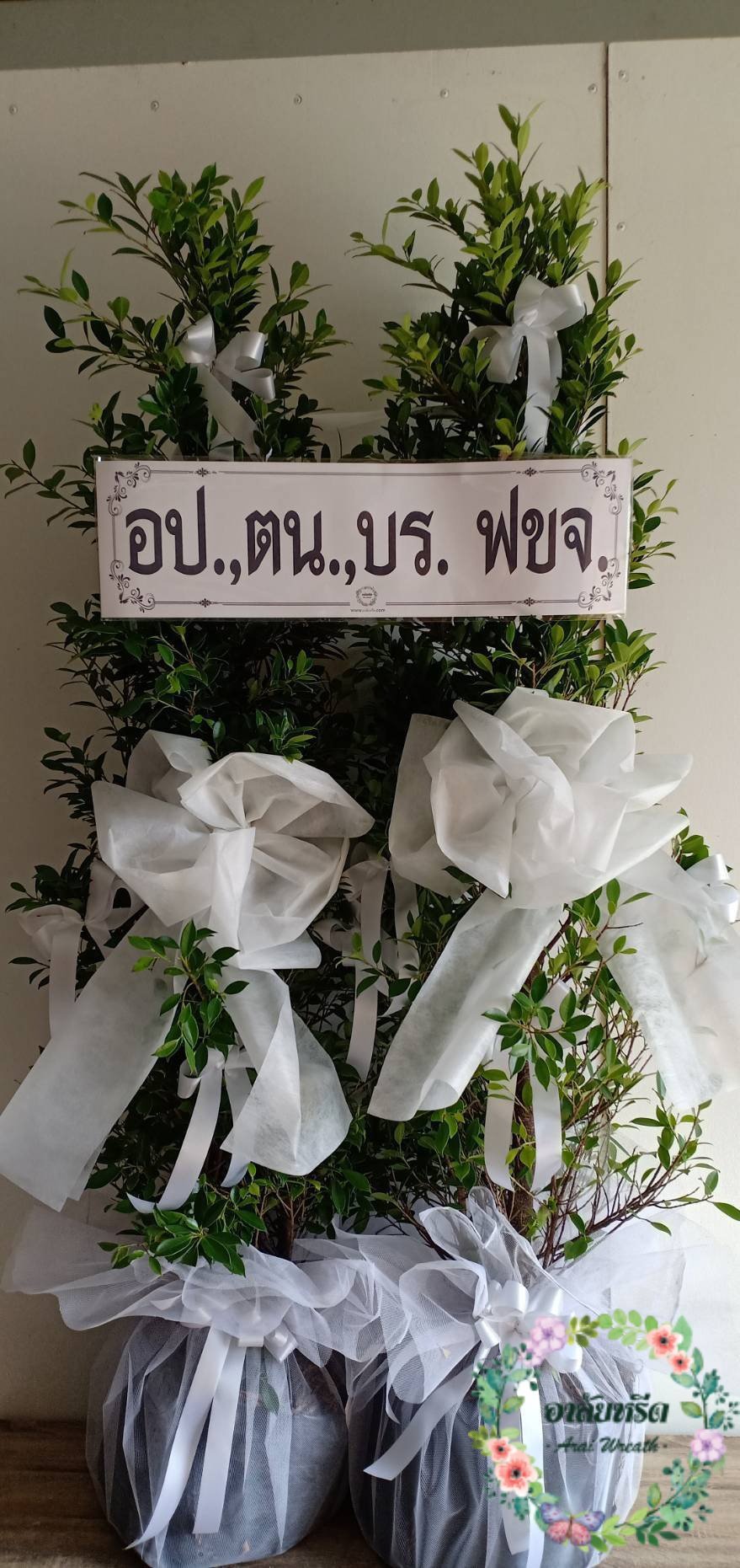 พวงหรีดต้นไทร