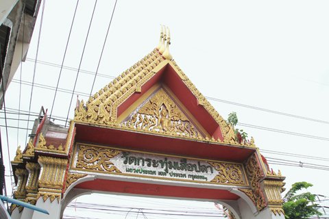 วัดกระทุ่มเสือปลา