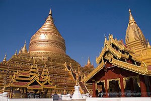 วัดสุธรรมวดี