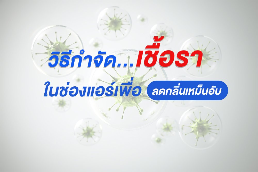 วิธีกำจัดเชื้อราในช่องแอร์เพื่อลดกลิ่นเหม็นอับ วิธีกำจัดเชื้อราในช่องแอร์เพื่อลดกลิ่นเหม็นอับ