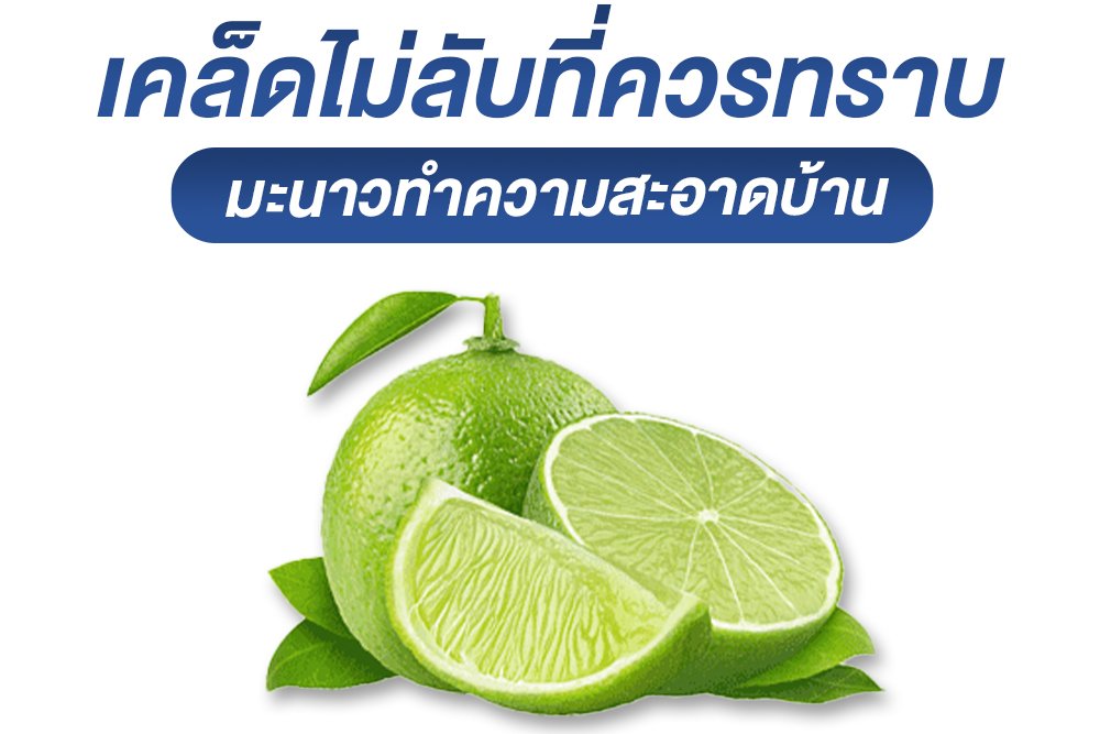 มะนาวทำความสะอาดบ้าน เคล็ดไม่ลับที่ควรทราบไว้ มะนาวทำความสะอาดบ้าน เคล็ดไม่ลับที่ควรทราบไว้