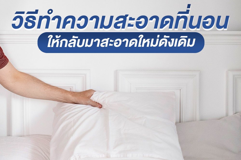 วิธีทำความสะอาดที่นอน ให้กลับมาสะอาดใหม่ดังเดิม วิธีทำความสะอาดที่นอน ให้กลับมาสะอาดใหม่ดังเดิม