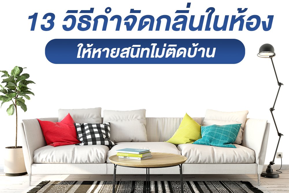 13 วิธีกำจัดกลิ่นอับในห้องให้หายสนิทไม่ติดบ้าน