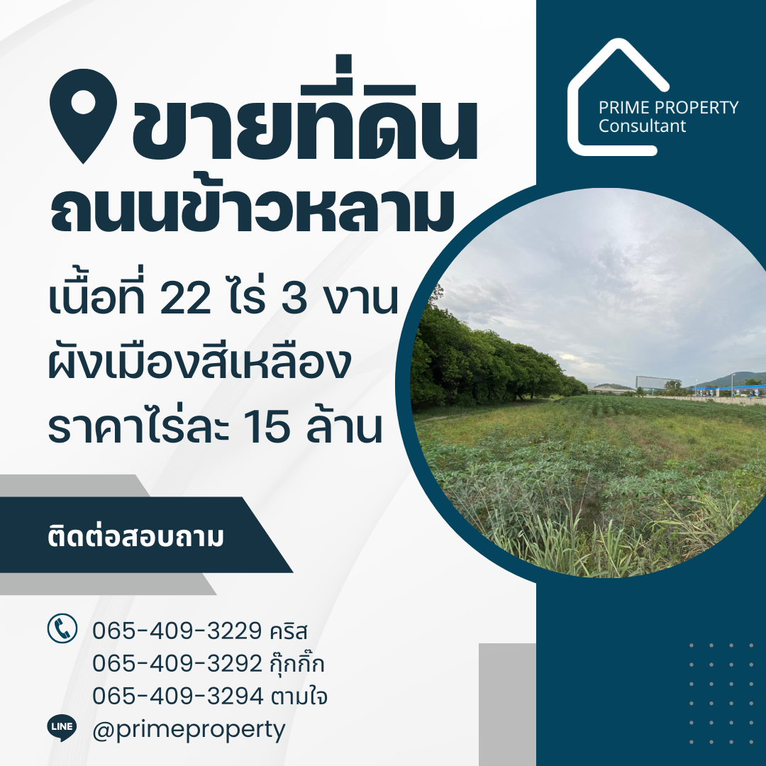 ขายที่ดินถนนข้าวหลาม ขายที่ดินถนนข้าวหลาม