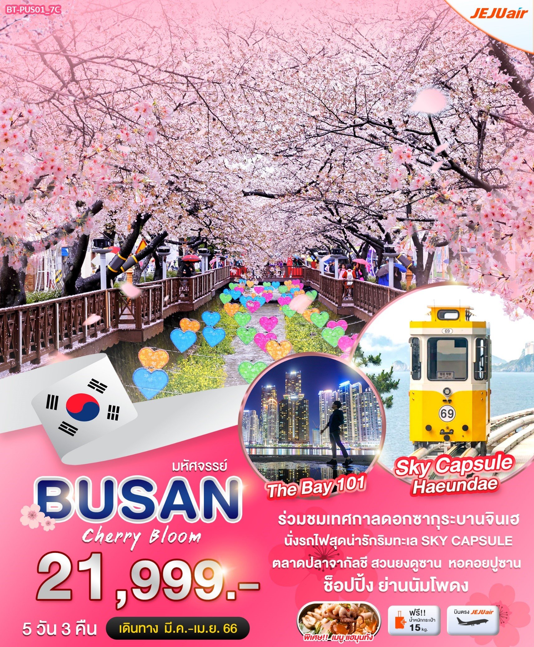 โปรแกรมทัวร์เกาหลี ปูซาน cherry bloom 5 วัน 3 คืน