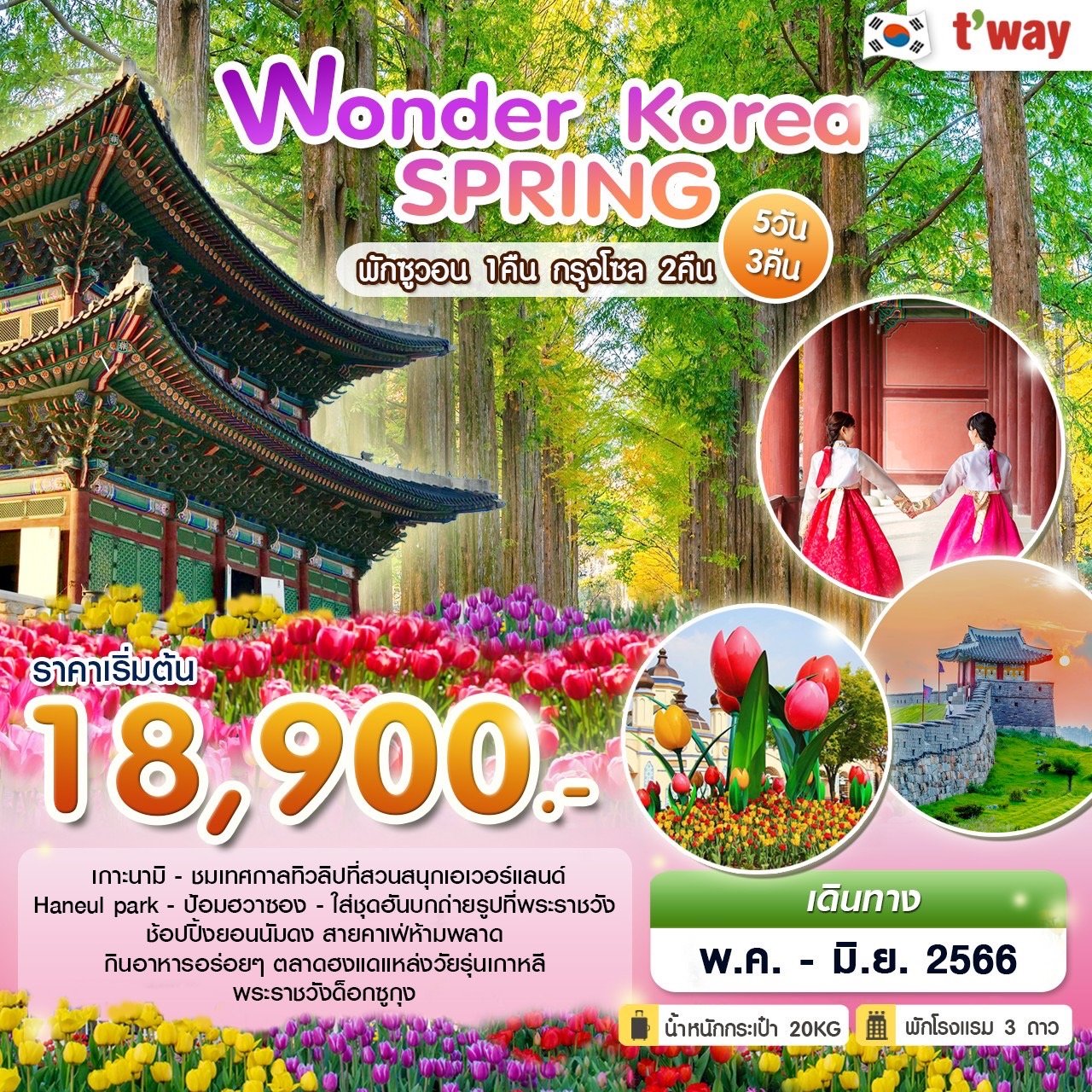 Wonder Spring in Korea 5 วัน 3 คืน