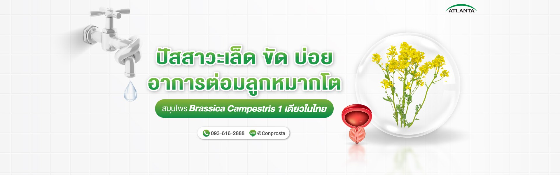 ต่อมลูกหมากโต