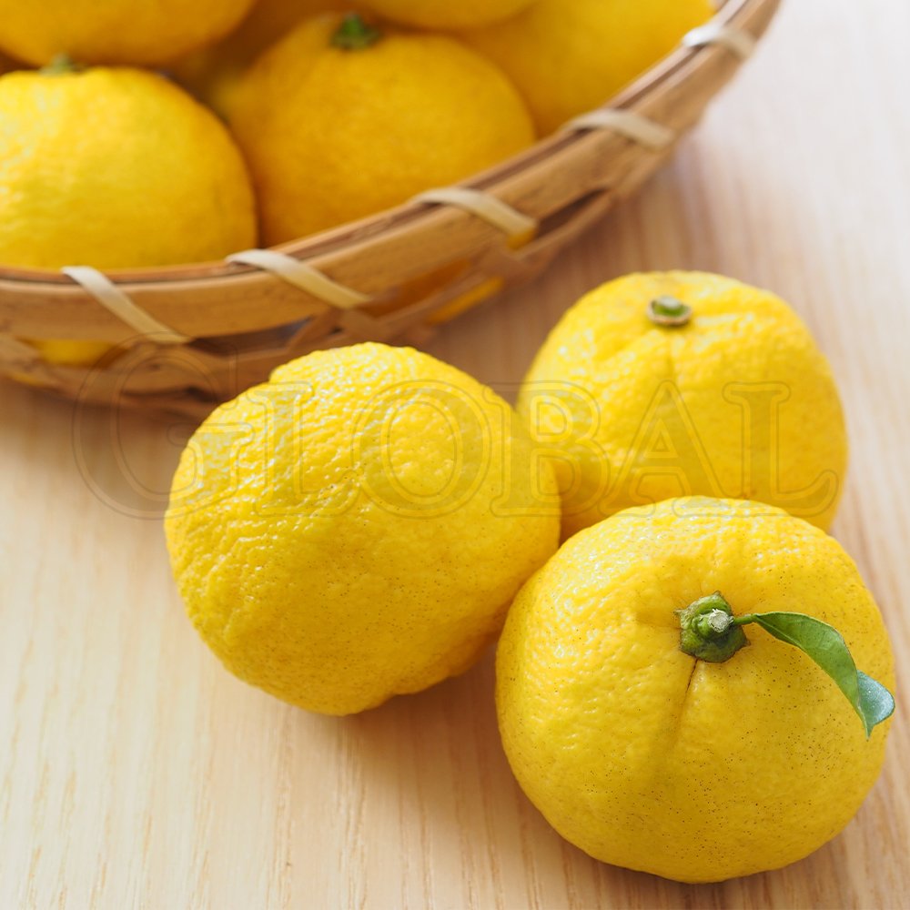 Marushibori Yuzu (Kishida)