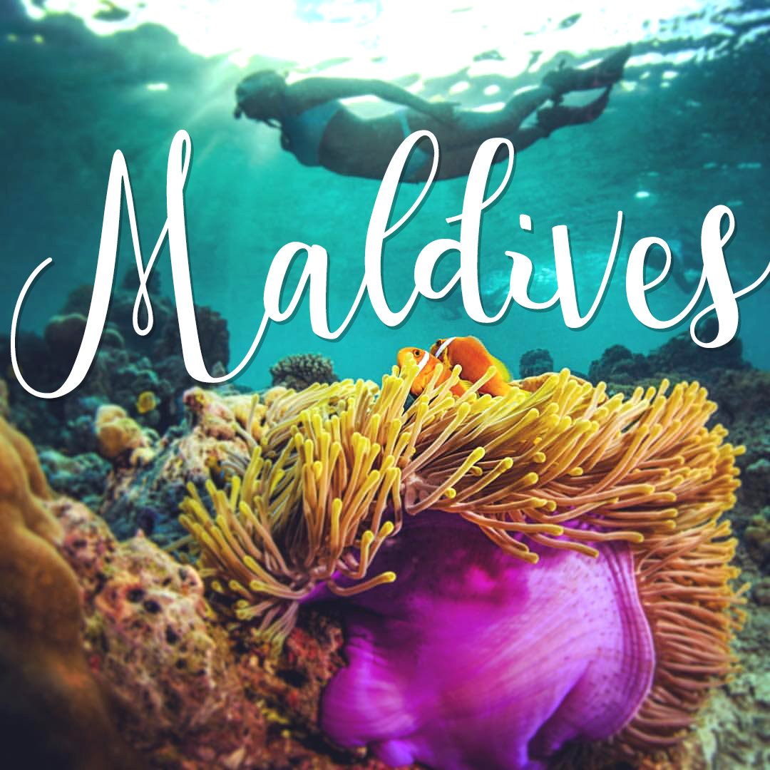TOP 10 Maldives Resort for diving