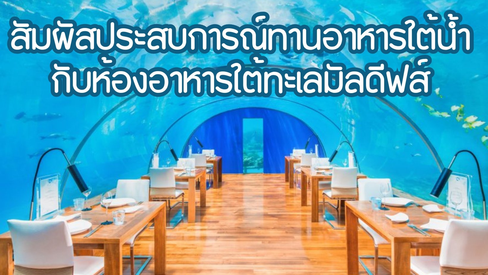 ประสบการณ์ใหม่ ทานอาหารที่ห้องอาหารใต้ทะเลมัลดีฟส์ 
