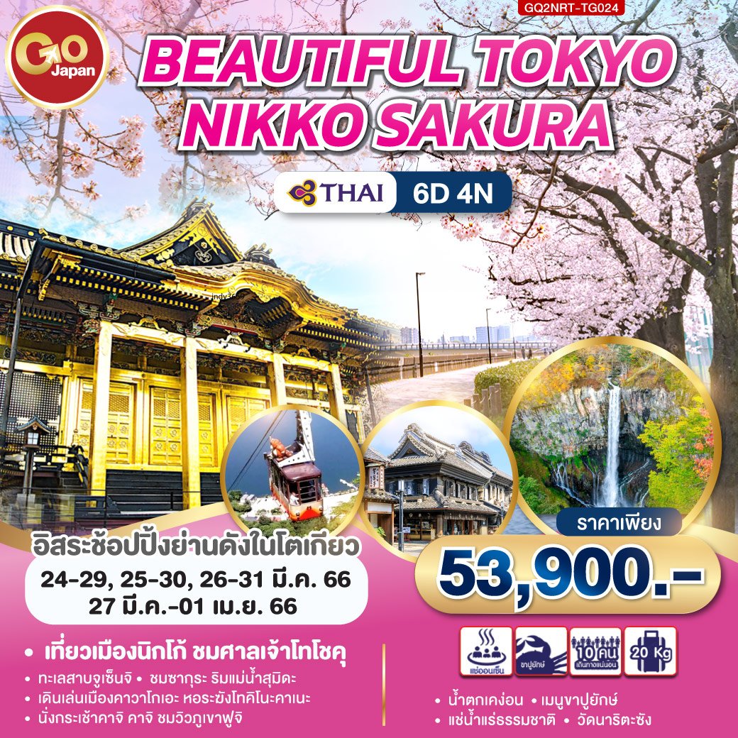 ทัวร์ญี่ปุ่น  : JAPAN Beautiful Tokyo Nikko Sakura 6D 4N