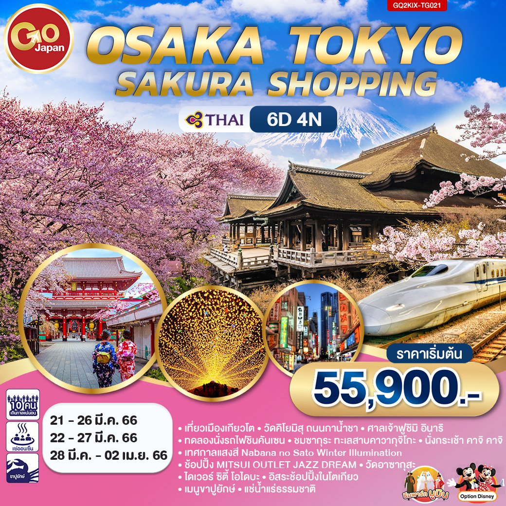ทัวร์ญี่ปุ่น : JAPAN  OSAKA TOKYO SAKURA SHOPPING 6D 4N