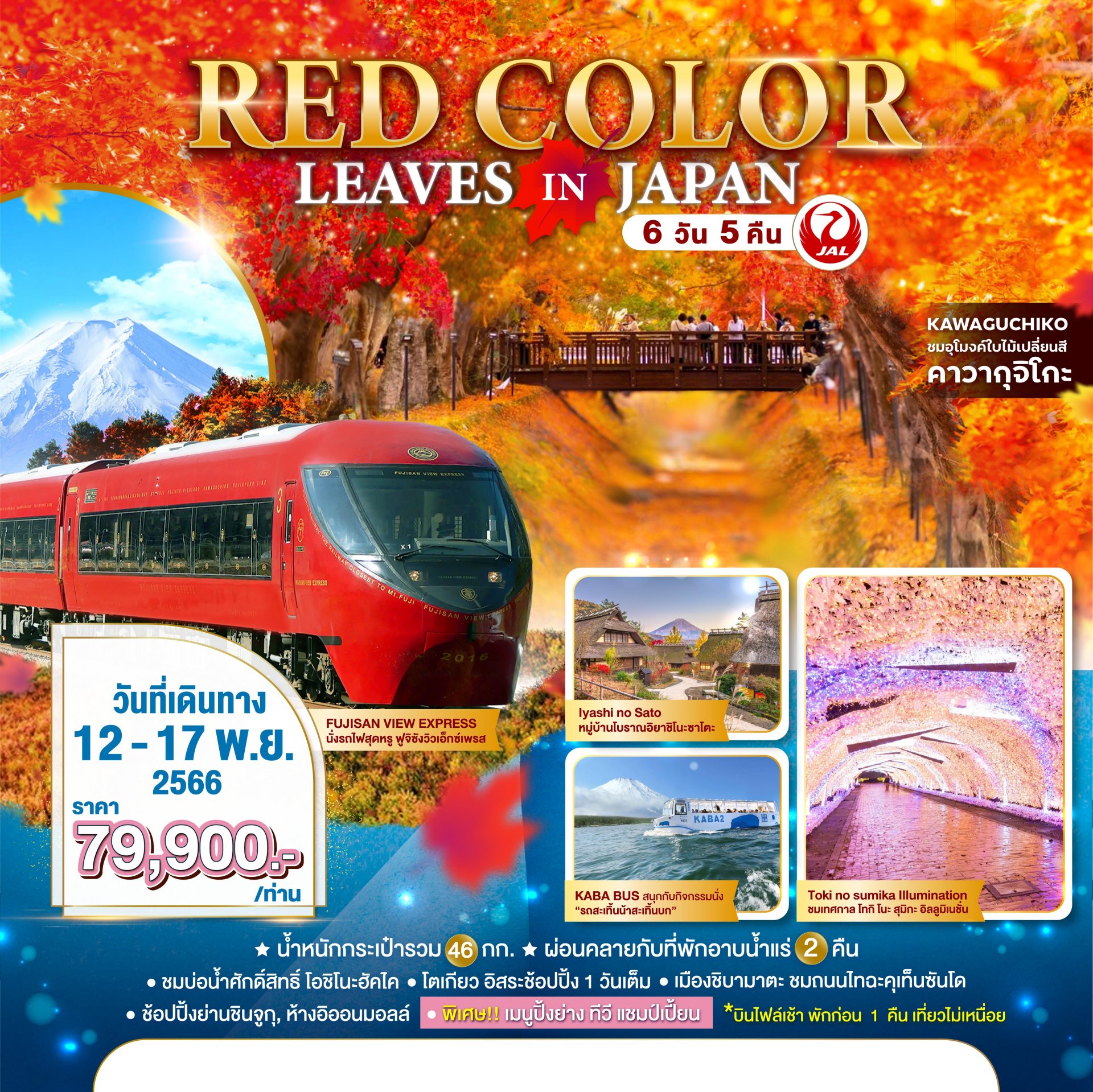 ทัวร์ญี่ปุ่น : RED COLOR LEAVES IN JAPAN 6 DAYS 5 NIGHTS