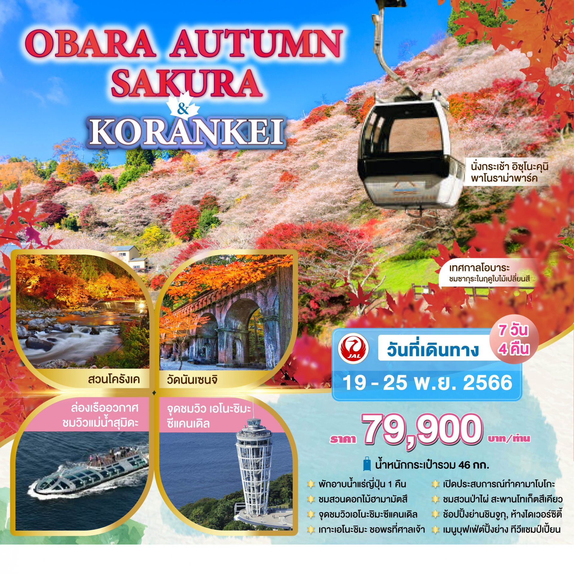 ทัวร์ญี่ปุ่น : OBARA AUTUMN SAKURA & KORANKEI  7 DAYS 4 NIGHTS