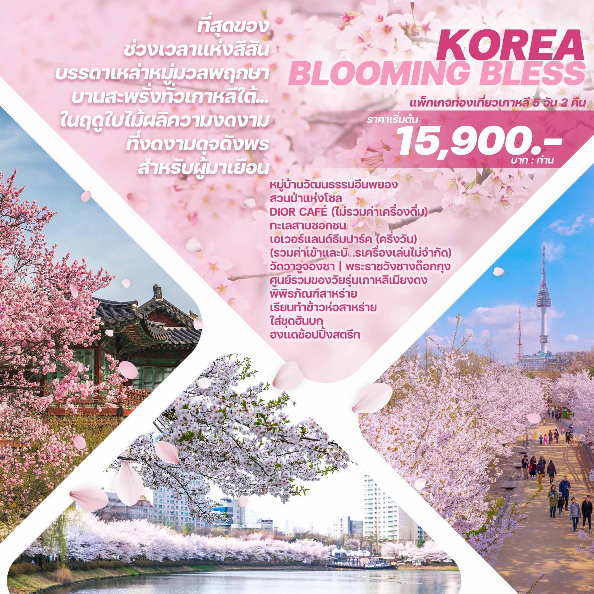 BWE-KOREA BLOOMING BLESS