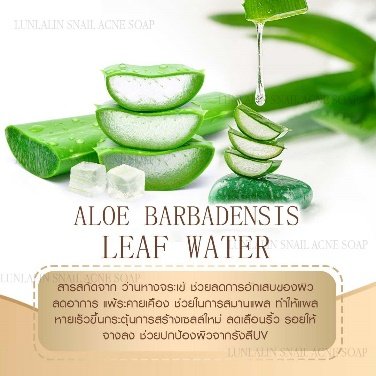 Aloe Barbadensis Leaf Water 