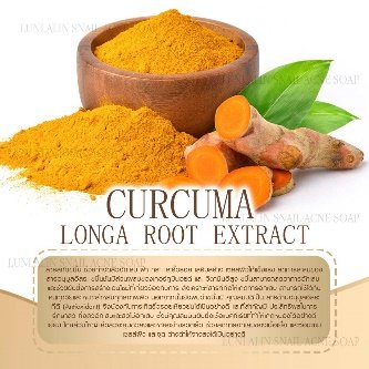 Curcuma Longa Root Extract 