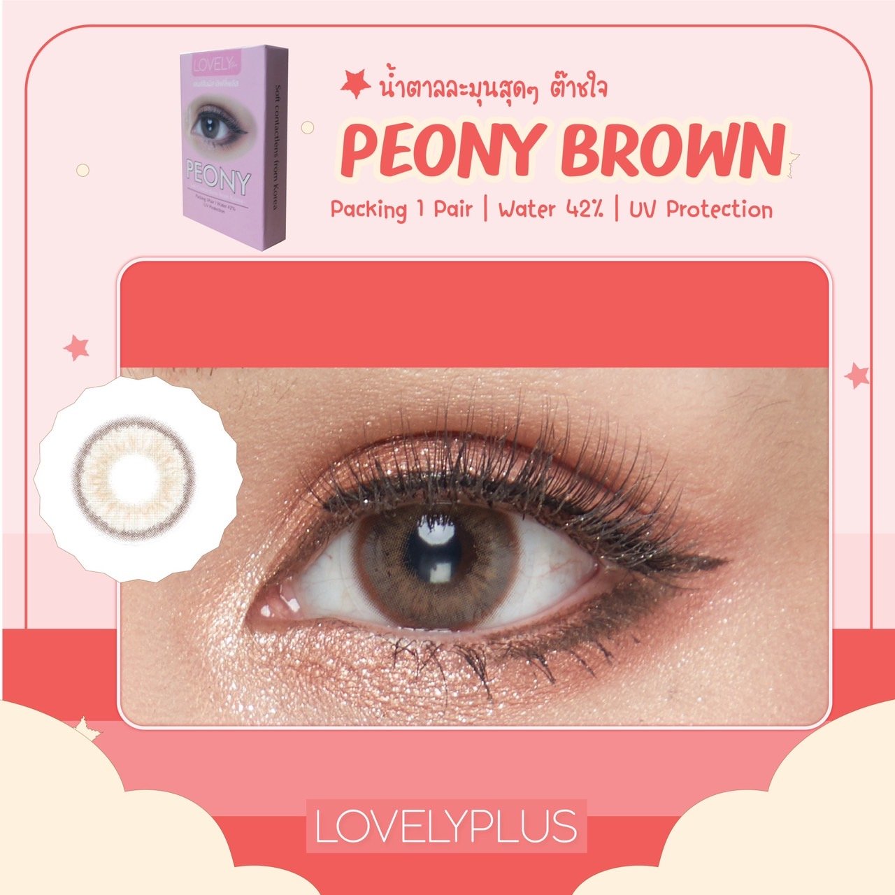 peony brown(Blister)