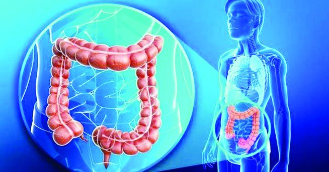 ลำไส้จะแข็งแรงได้อย่างไร? ลำไส้จะแข็งแรงได้อย่างไร?
