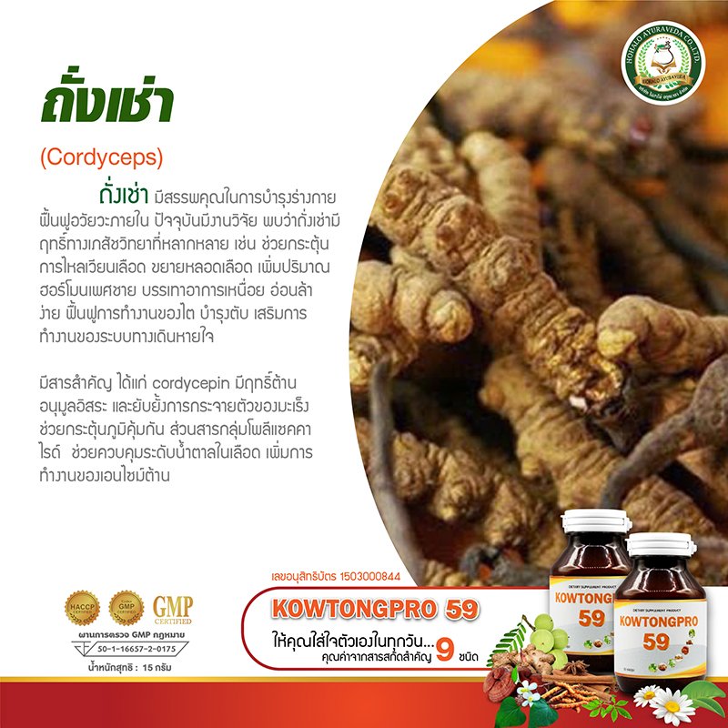 ถั่งเช่า (Cordyceps)           ถั่งเช่า มีสรรพคุณในการบำรุงร่างกาย ฟื้นฟูอวัยวะภายใน ปัจจุบันมีงานวิจัย พบว่าถั่งเช่ามีฤทธิ์ทางเภสัชวิทยาที่หลากหลาย เช่น ช่วยกระตุ้นการไหลเวียนเลือด ขยายหลอดเลือด เพิ่มปริมาณฮอร์โมนเพศชาย บรรเทาอาการเหนื่อย อ่อนล้าง่าย ฟื้นฟูการทำงานของไต บำรุงตับ 