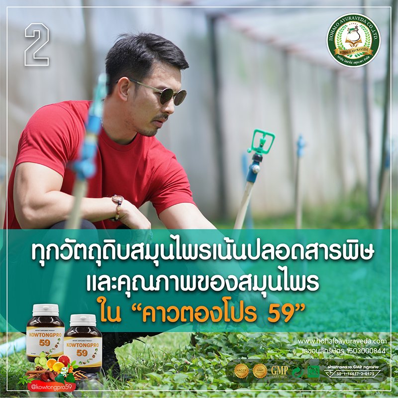 2. ทุกวัตถุดิบสมุนไพรเน้นปลอดสารพิษและคุณภาพของสมุนไพรใน “คาวตองโปร 59” 2. ทุกวัตถุดิบสมุนไพรเน้นปลอดสารพิษและคุณภาพของสมุนไพรใน “คาวตองโปร 59”
