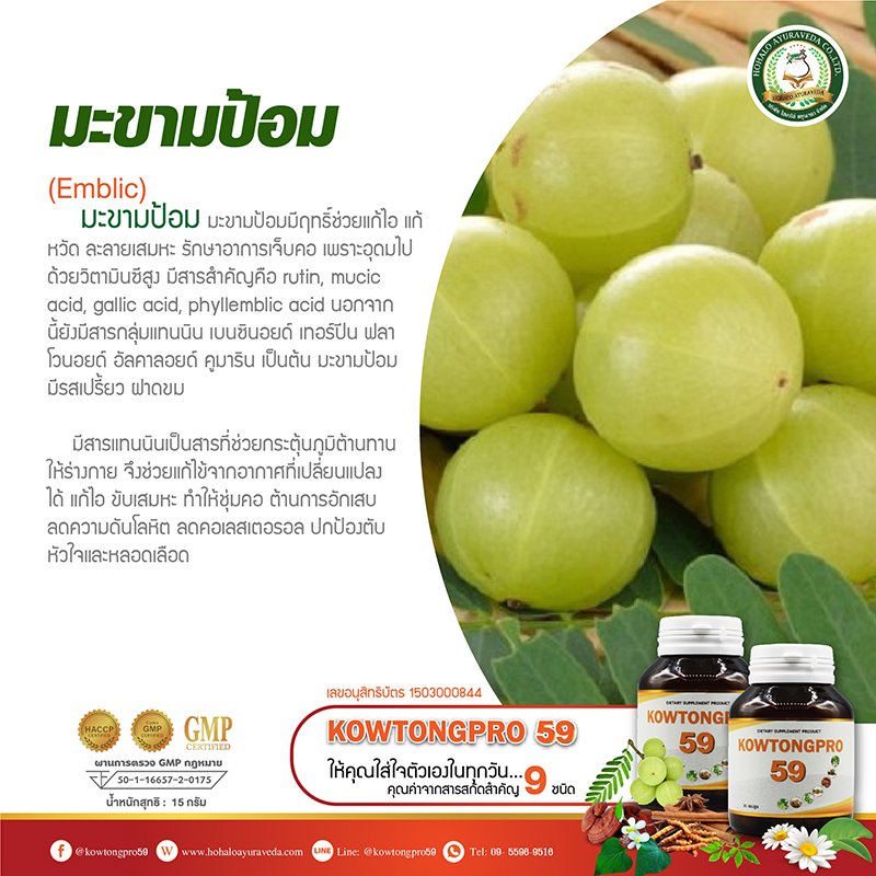 ผลิตภัณฑ์เสริมอาหารสารสกัดจาก  ผลิตภัณฑ์เสริมอาหารสารสกัดจาก