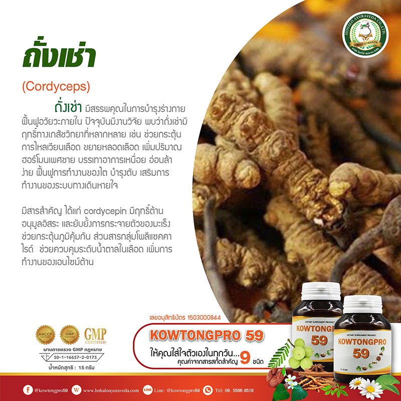 ผลิตภัณฑ์เสริมอาหารสารสกัดจาก  ผลิตภัณฑ์เสริมอาหารสารสกัดจาก