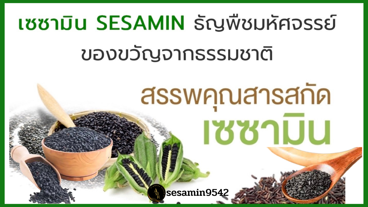 สารสกัดเซซามิน