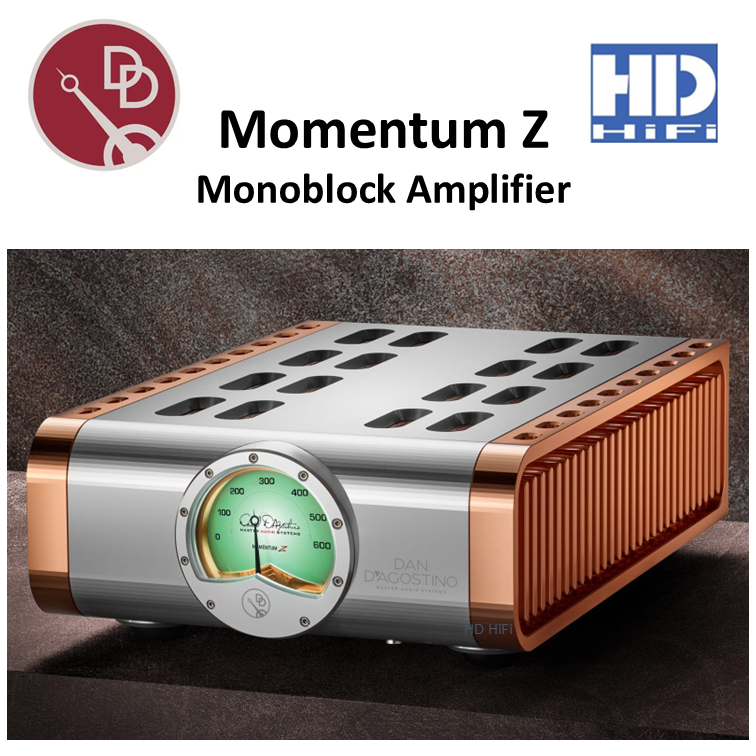 Dan D'Agostino Momentum Z Monoblock Amplifier