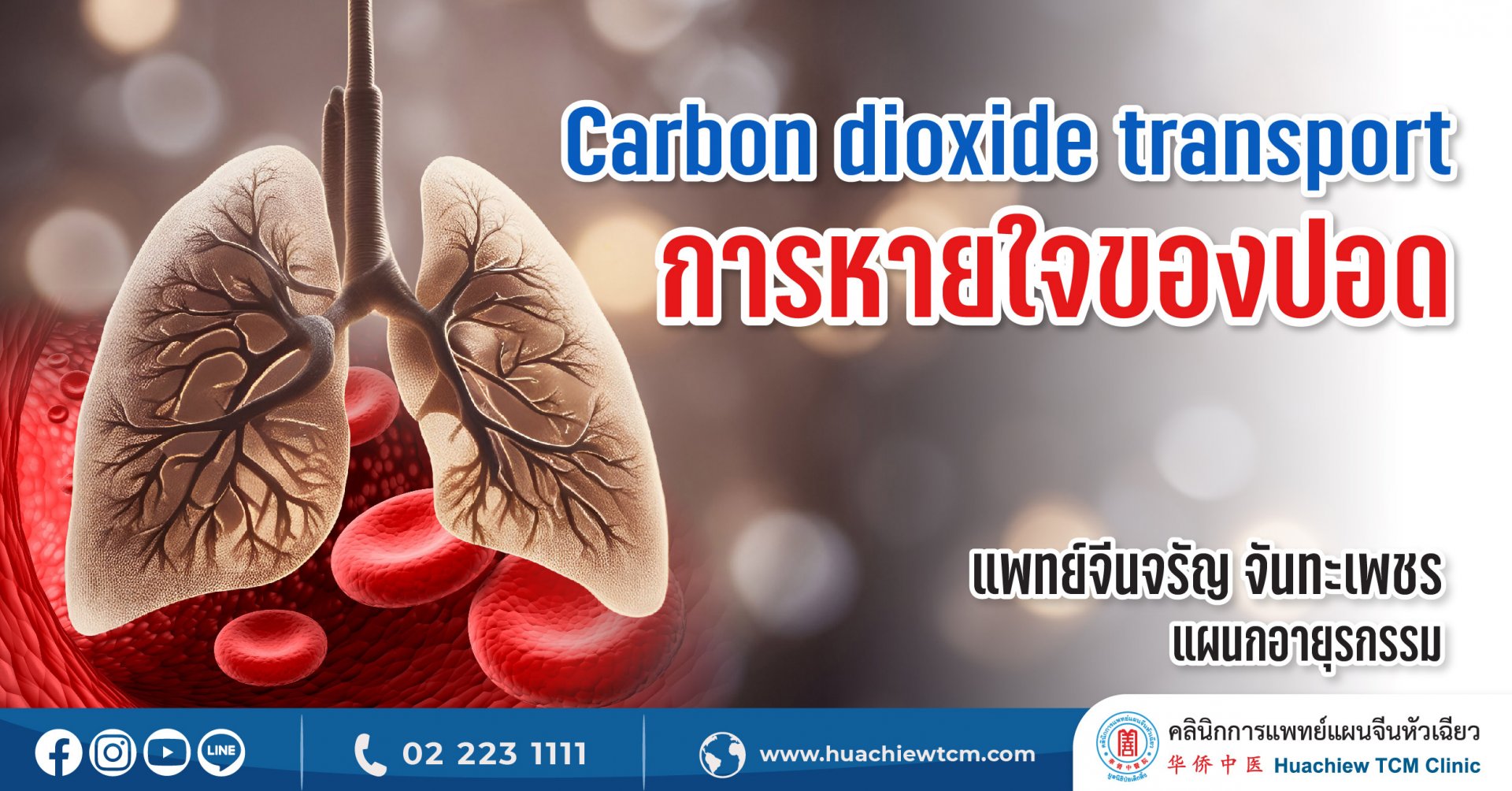 Carbon dioxide transport การหายใจของปอด